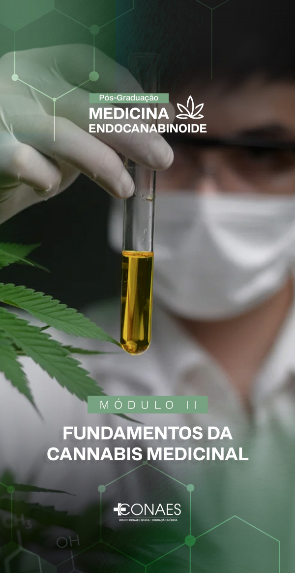 imagem_2026-03-27_233223579