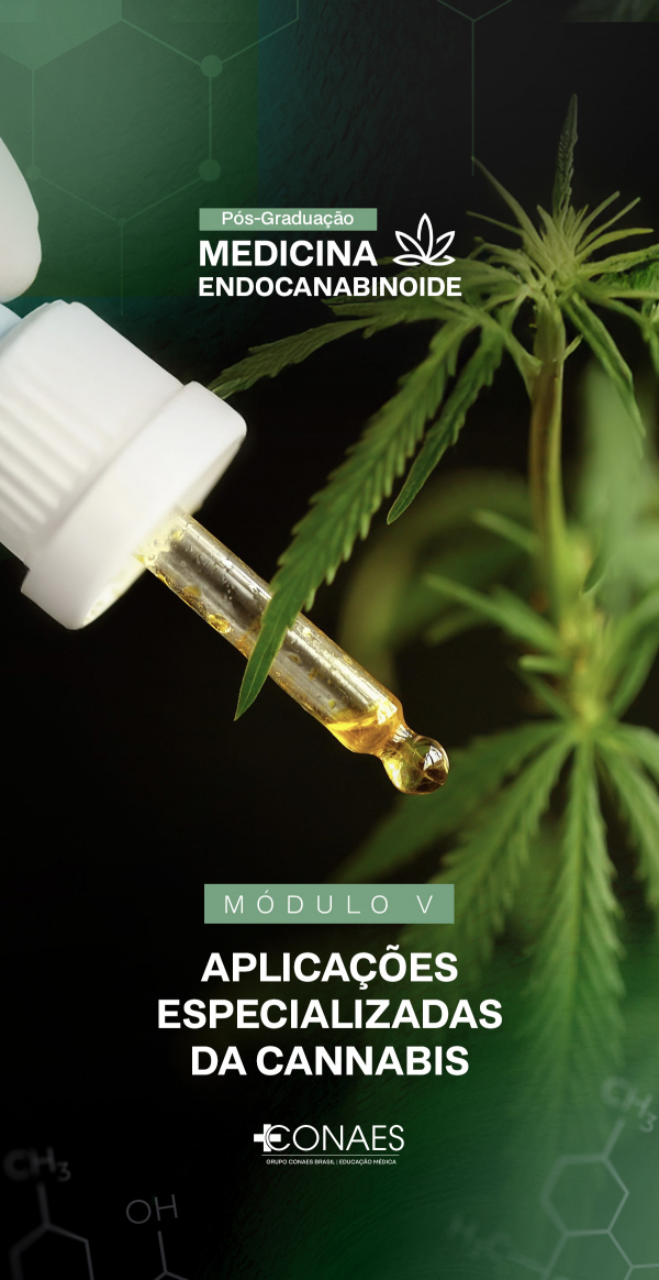 imagem_2026-03-27_233354303