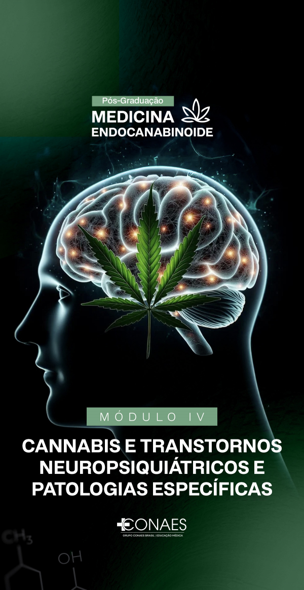 imagem_2026-03-27_233414589